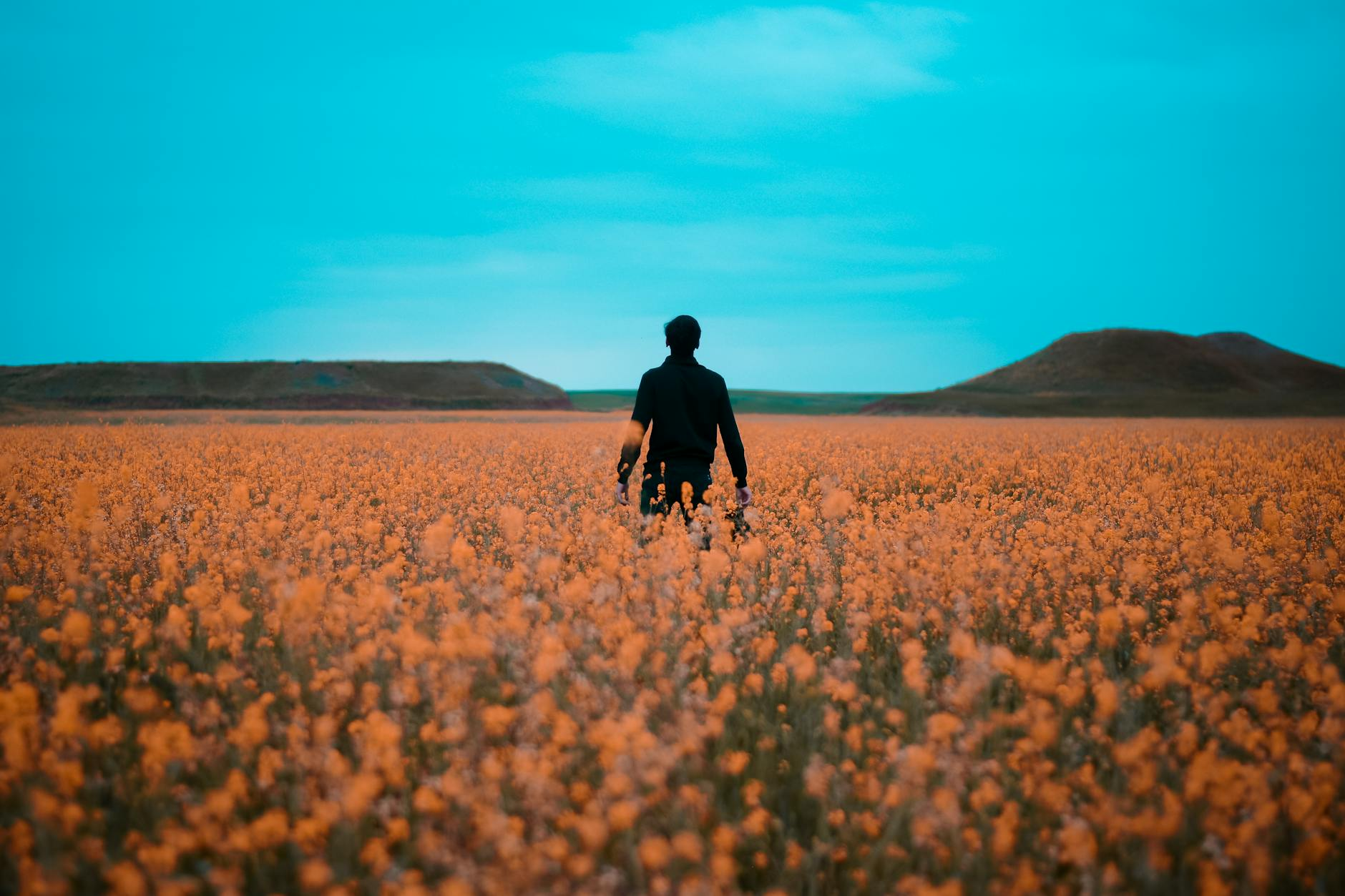 5 Ways To Fight Loneliness That You Can Do RIGHT NOW!